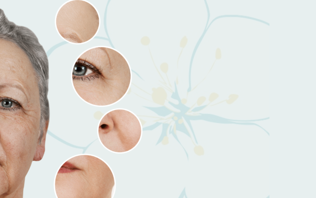 Beyond The Wrinkle