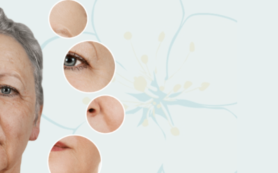Beyond The Wrinkle